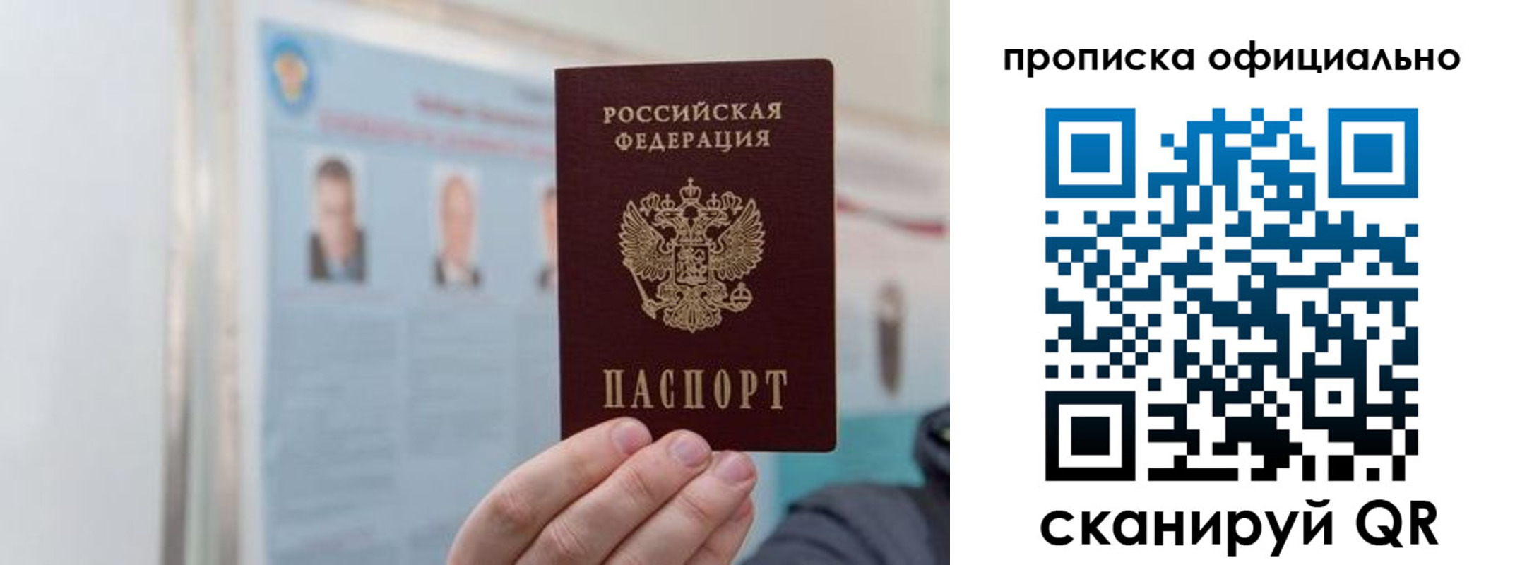 прописка гарантия в Шатуре